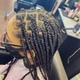 Knottless box braids (small)