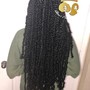 Box Braids (Traditional Box Braids)