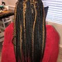 Medium- mid back-Senegalese Twist