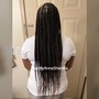 Small/Mid Back Senegalese Twist