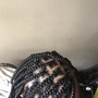 Tree Braids