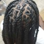 Loc Retwist (100 Locs or less)