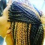 Medium size Senegalese Twist