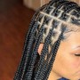 Jumbo/ Box Braids