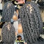 Butterfly locs (waist length )