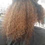 Root Touch Up