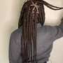 Jumbo knotless Braids