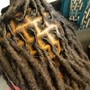 Starter Locs