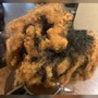 Root Touch Up