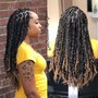 Starter Locs/Dreadlocks