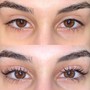 Eyelash Lift + Tint (New and Returning Clients)