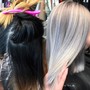 Custom Color/Fashion Tones/UNICORN hair