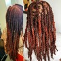 Dreadlocks Retwist