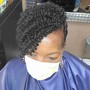 Transitioning Cut (Big Chop)