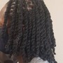 Retwist on Locs, Includes a shampoo.