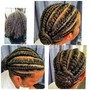 Meduim Band Senegalese Twist