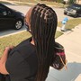 Nubian Twists/ spring twists