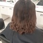 Root Touch Up