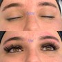 Hybrid Eyelash Fill in