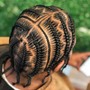 2 Strand Twists/Plaits