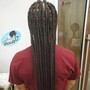 Havana Twists