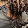 Starter Locs