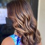 Balayage (touch up), shadow root, lowlights, cut and style