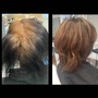 Root touch up/Single Process with Blowdry Style Finish