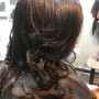 Extension Based Ponytails, Drapes, Chignons & Knots