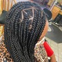 Iridescence Box Braids