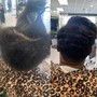 Natural Flexi Rods