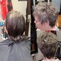 Bleach root touch up and Tone