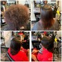 Root Touch Up