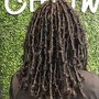 Starter locs