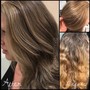 Bleach and Tone Touch Up