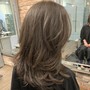 Accent Highlights/Lowlights