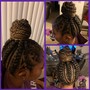 Kid's Med Box Braids