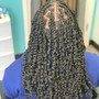 Basic Crochet Braids