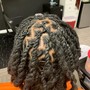 Braids on Retwisted Locs