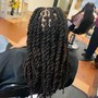 Small Size Starter Locs