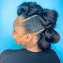 Flat Twist Updo/natural updo