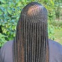 Tree Braids