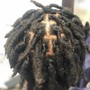 Starter locs with two stand twist medium