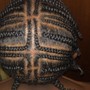 Tribals Braids (kids) 36in braiding hai