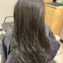 Root Touch Up