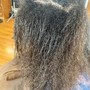 Root Touch Up