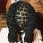 Wash+Retwist+Style