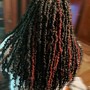 Fuller look Marley, spring, kinky, puffy, Nubian twist