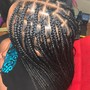 Feed-in Braids