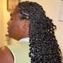 Jumbo Island Twist (Waist Length)